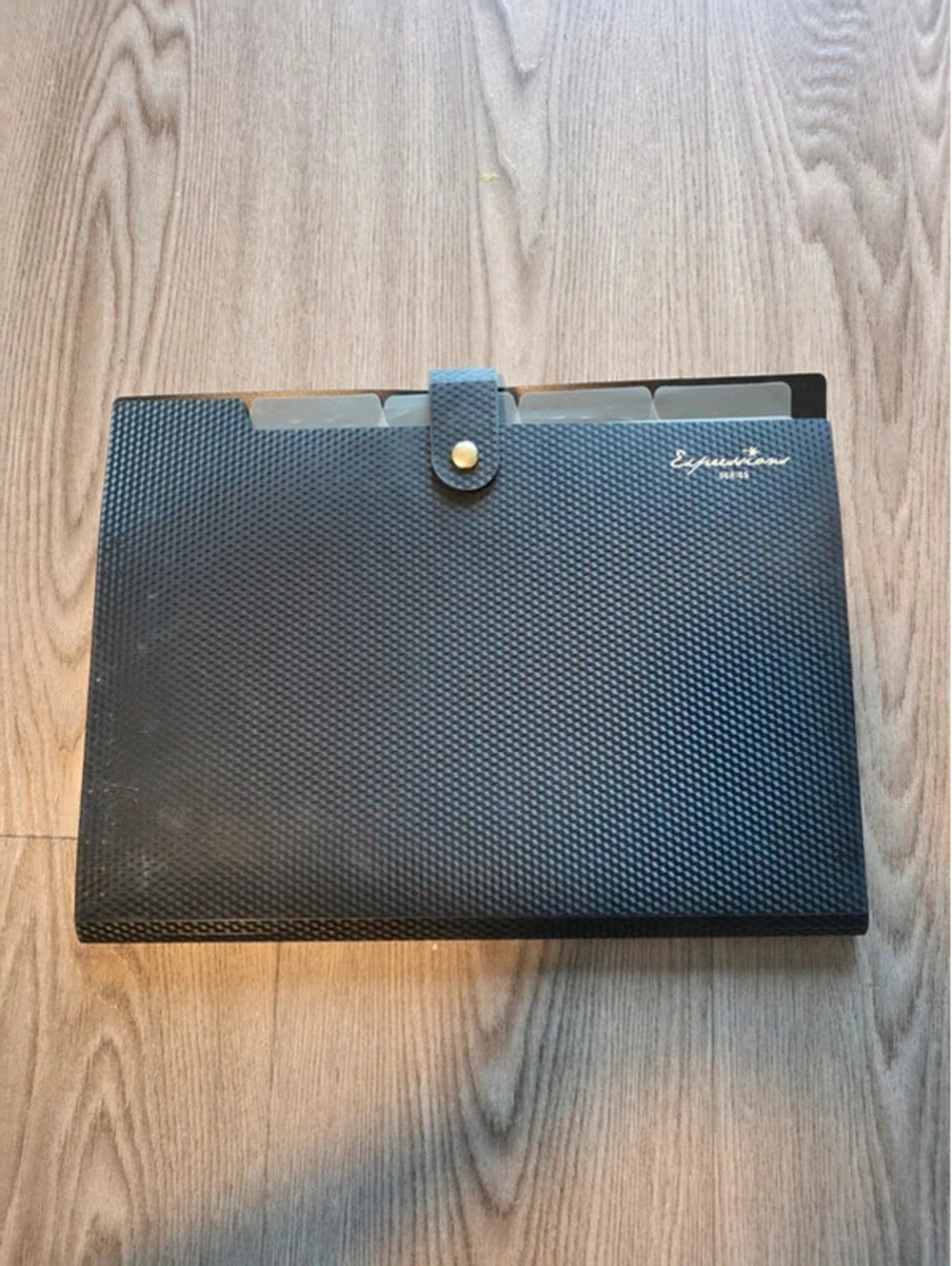 Expedition Black Textured Accordion File Organizer with Snap Closure